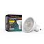 TRAXON LUXPOINT® LED Bulb Bombilla GU10 7W 60°  6500K